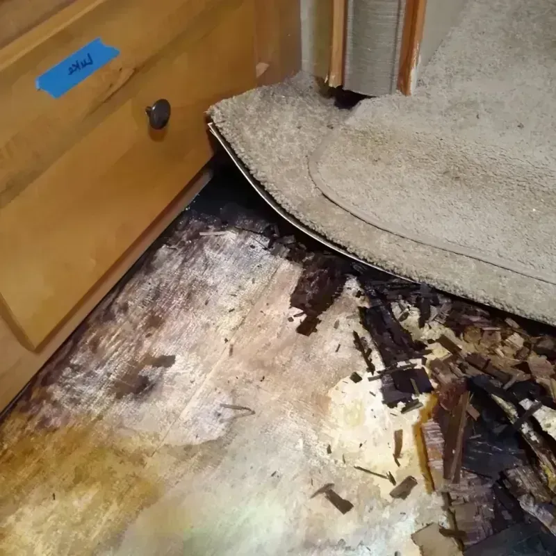 Wood Floor Water Damage in Greene County, AL